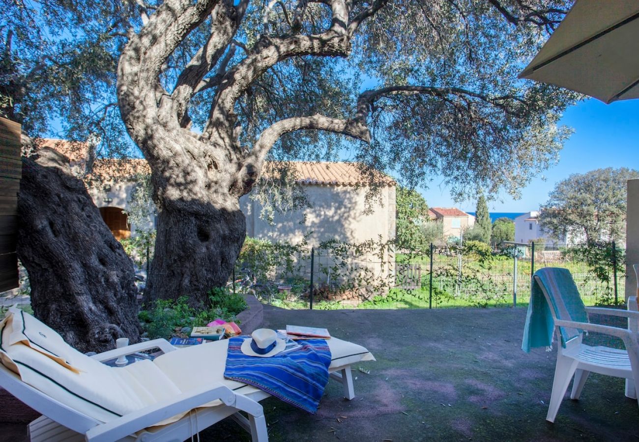 Ferienwohnung in Monticello - Domaine Bollaccia - Casa Caruchettu