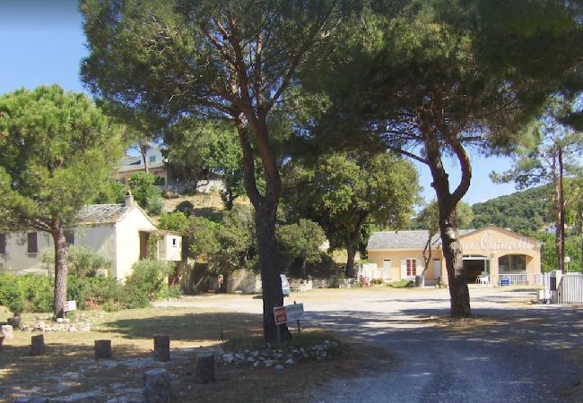 Ferienwohnung in Farinole - Casa Catarelli