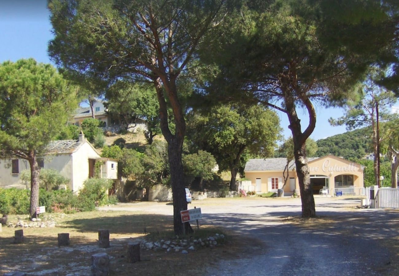 Ferienwohnung in Farinole - Casa Catarelli