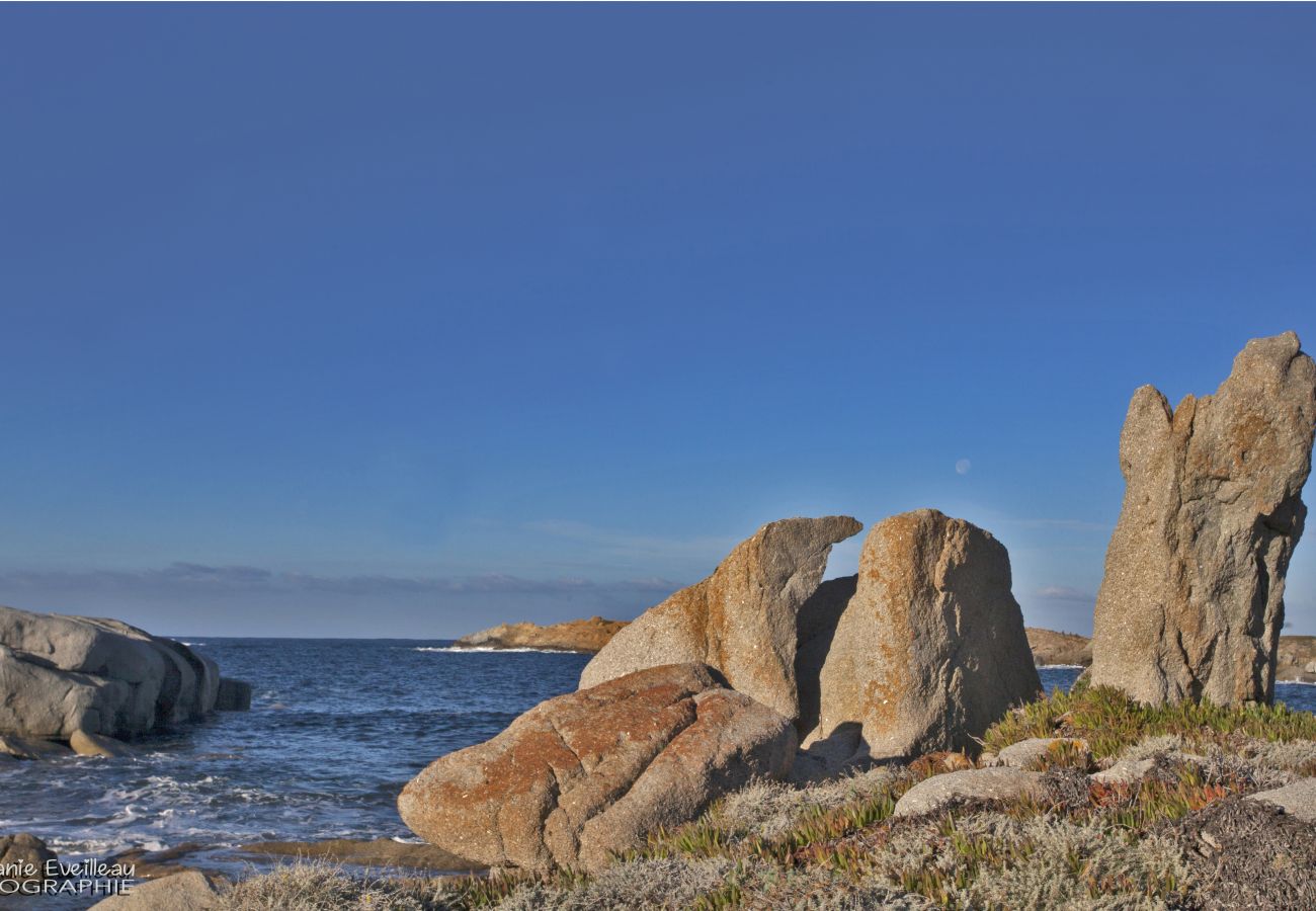 Ferienwohnung in L'Île-Rousse - Casa Delia