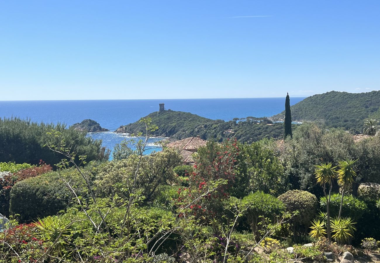 Villa in Conca - Villa Surella
