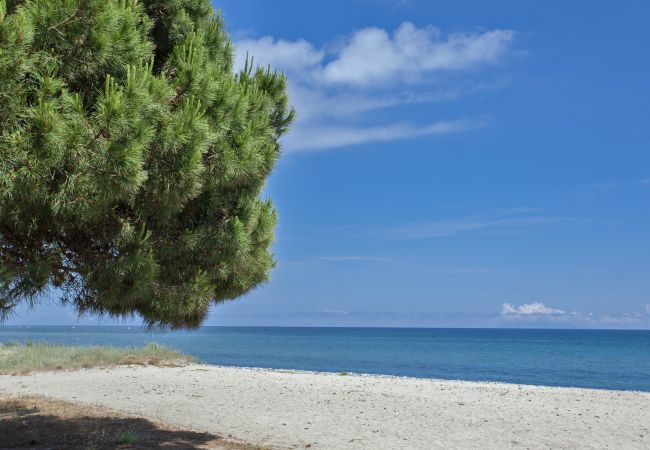 Ferienwohnung in San-Nicolao - Casa Les Marines