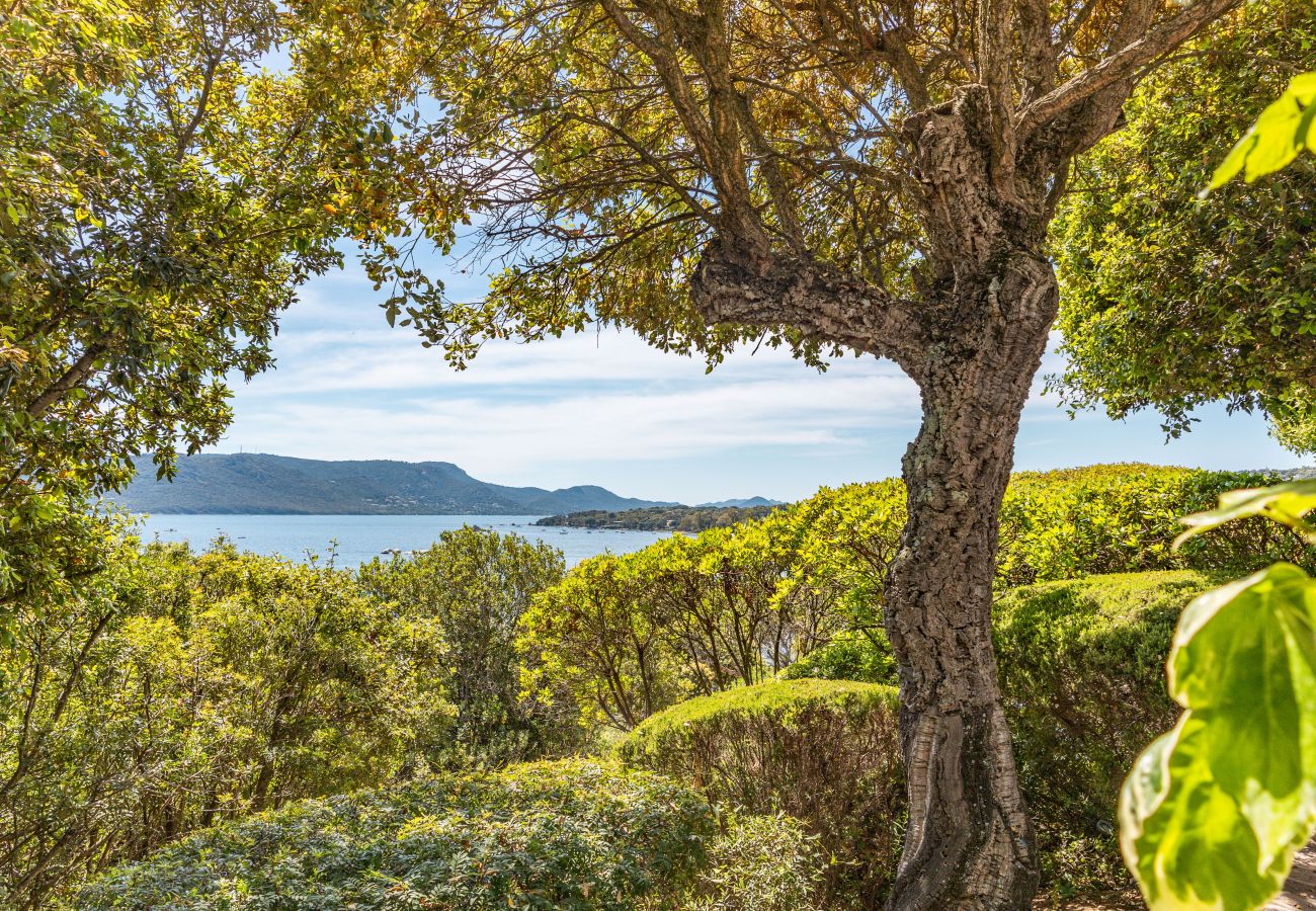 Villa in Porto-Vecchio - Villa A Benista Mare