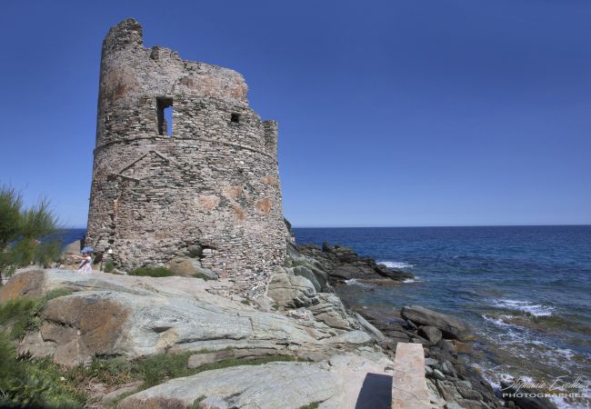 Ferienwohnung in Erbalunga - Casa Torra d'Erbalunga