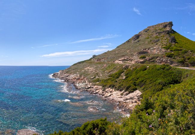 Ferienwohnung in Pietracorbara - Casa Brésil in Corsica
