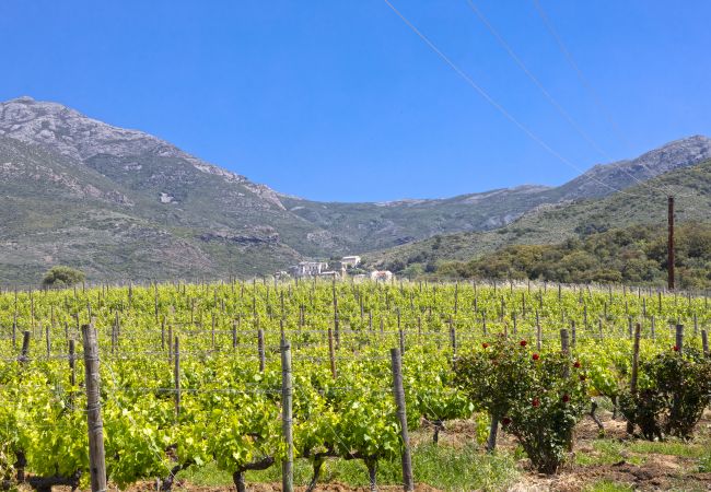 Ferienwohnung in Patrimonio - Casa U Castagnettu