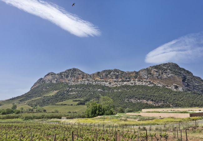 Ferienwohnung in Patrimonio - Casa U Castagnettu 2