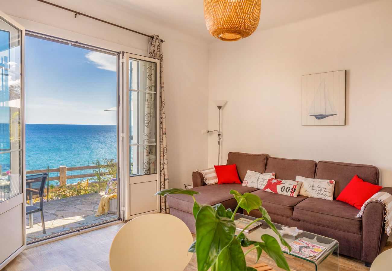 Villa in Erbalunga - Villa Erbalunga