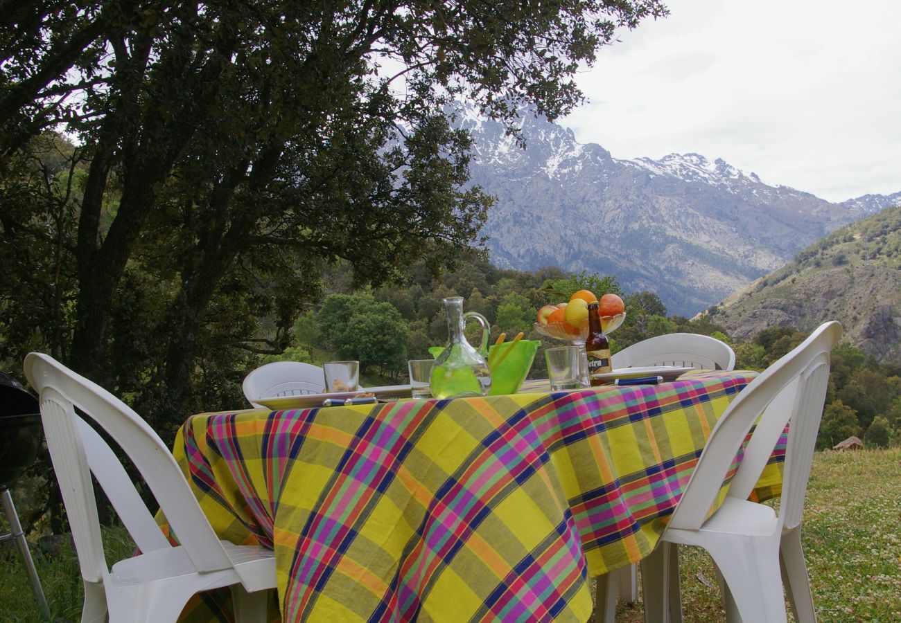 Ferienhaus in Olmi-Cappella - Casa Di Babbo