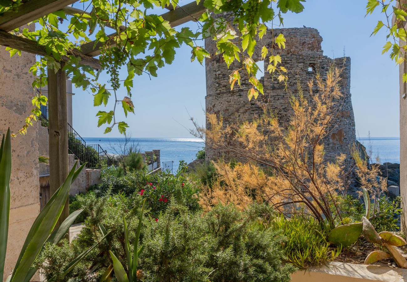 Ferienhaus in Erbalunga - Maison de pêcheur dans le Cap Corse