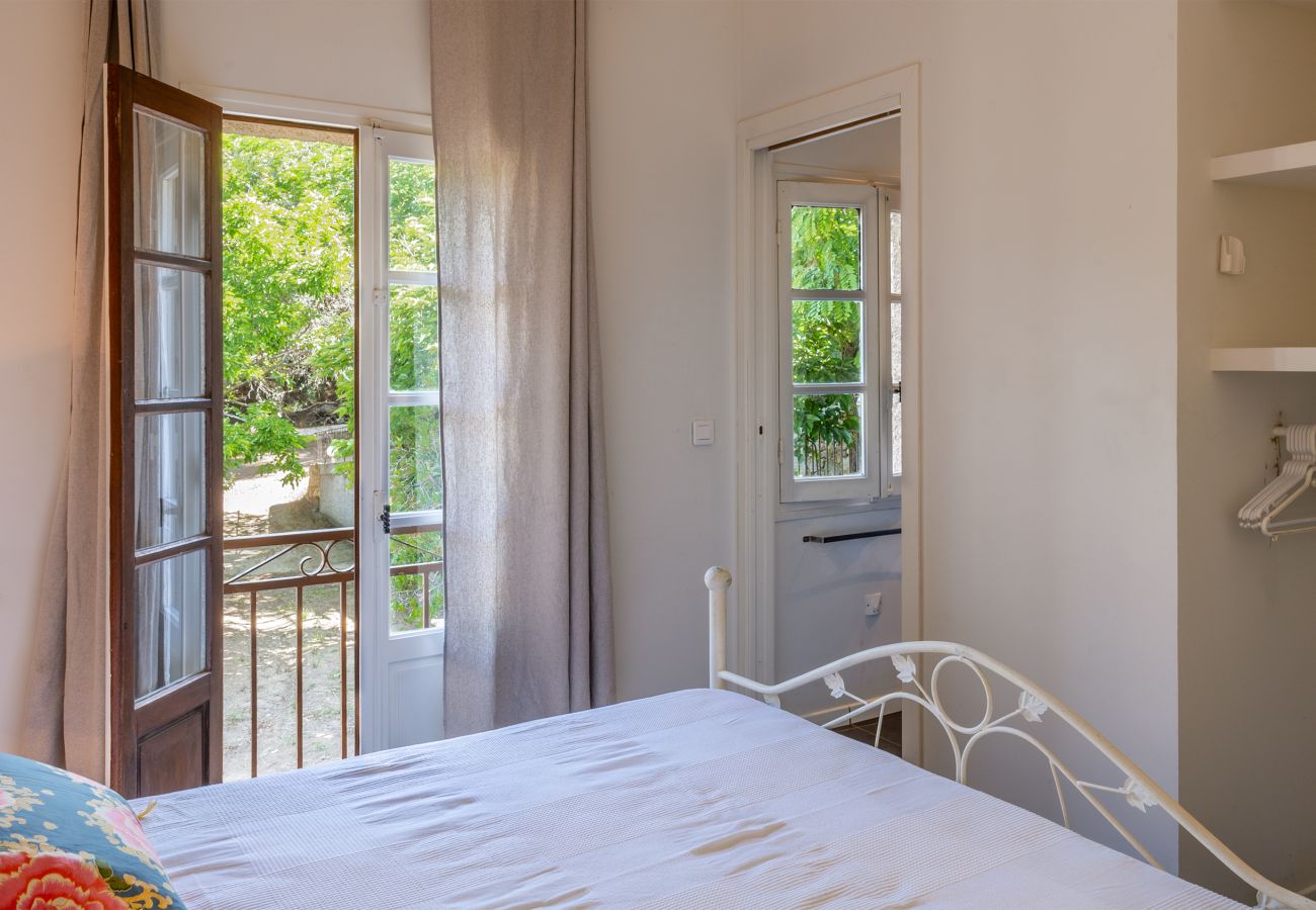 Ferienhaus in Corbara - Maison Saligastri