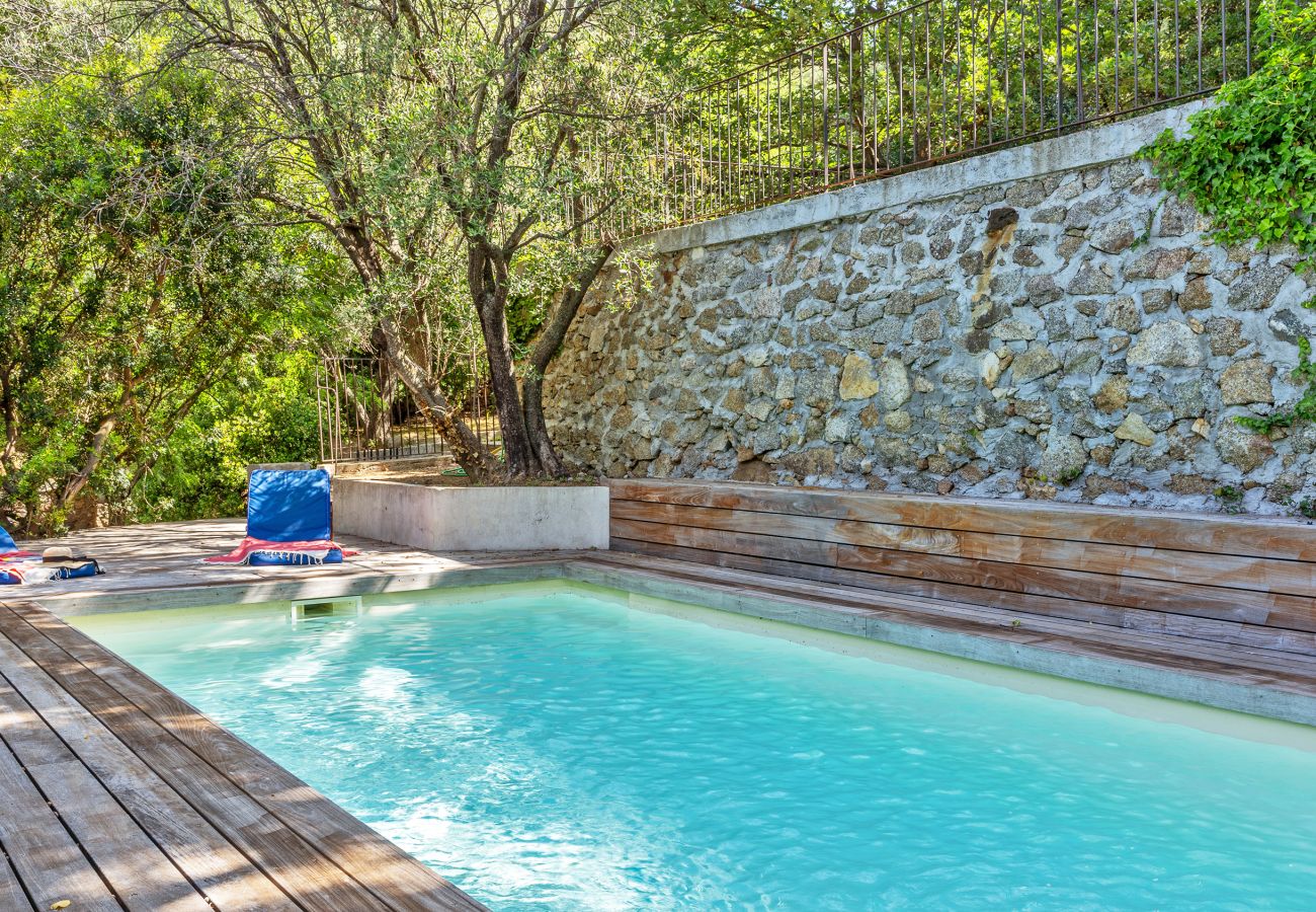Ferienhaus in Corbara - Maison Saligastri
