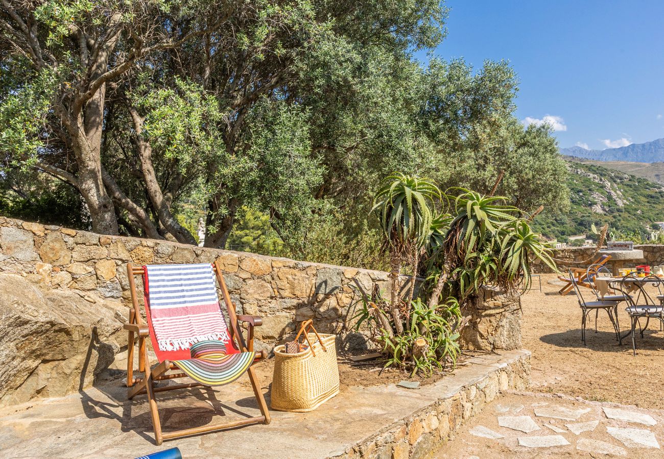 Ferienhaus in Corbara - Maison A Torra