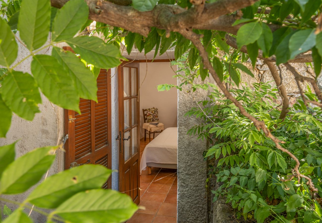 Ferienhaus in Corbara - Maison A Torra