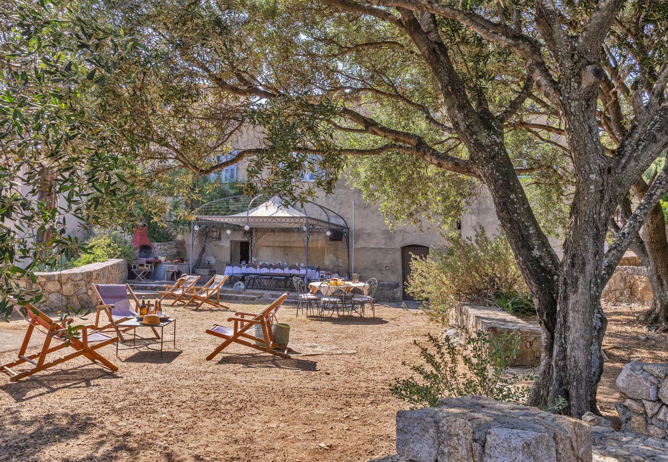 Ferienhaus in Corbara - Maison A Torra