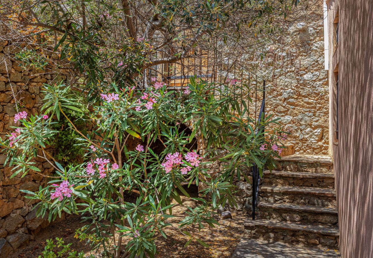 Ferienhaus in Corbara - Casa Le Fornu