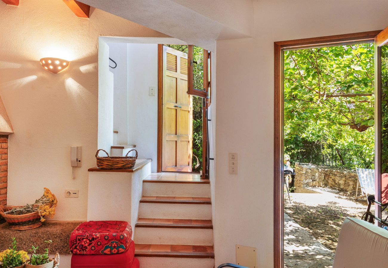 Ferienhaus in Corbara - Casa Le Fornu