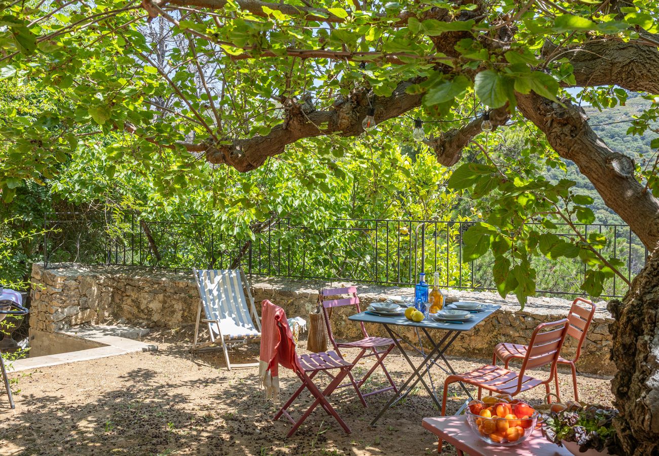 Ferienhaus in Corbara - Casa Le Fornu