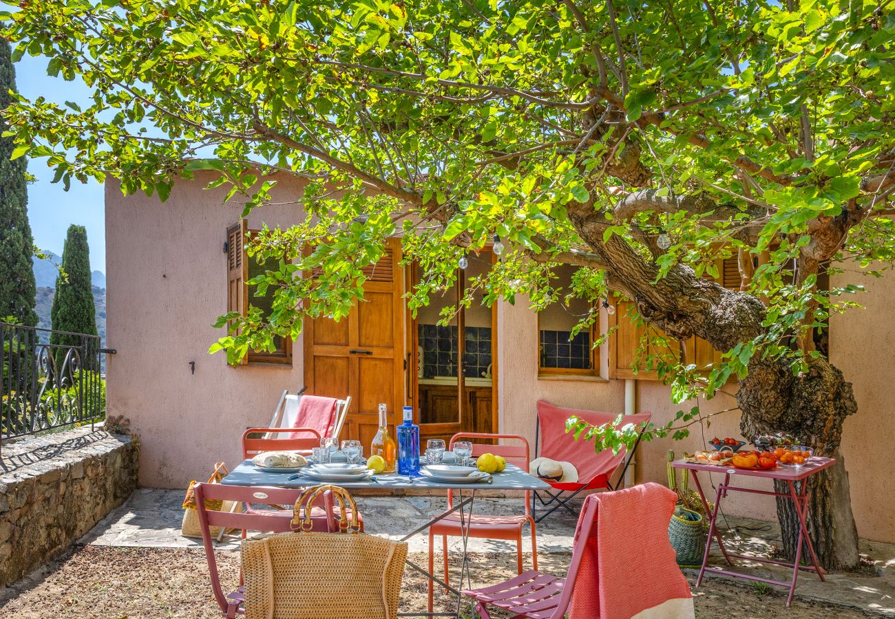 Ferienhaus in Corbara - Casa Le Fornu