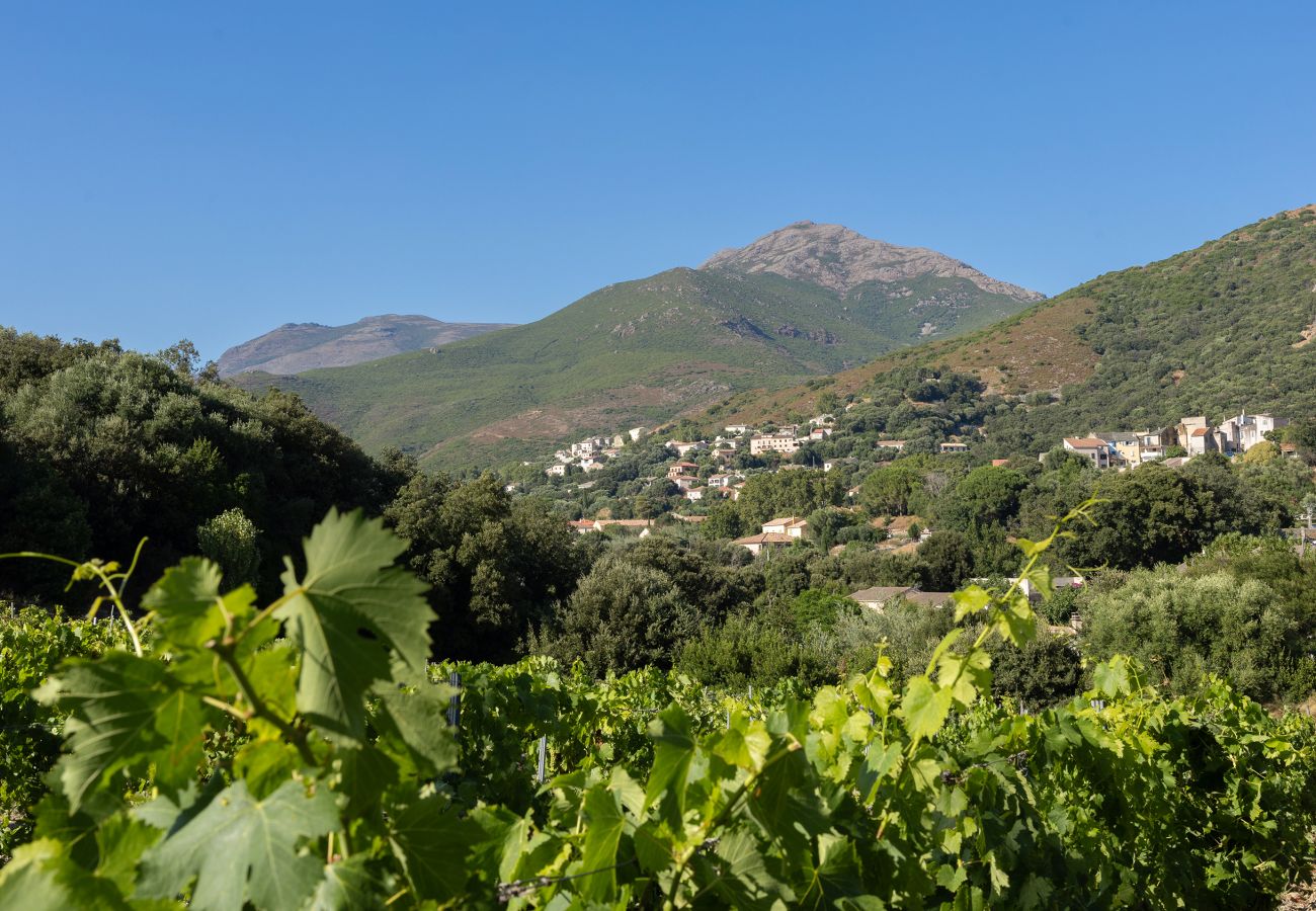 Ferienwohnung in Patrimonio - Ma Vie Là