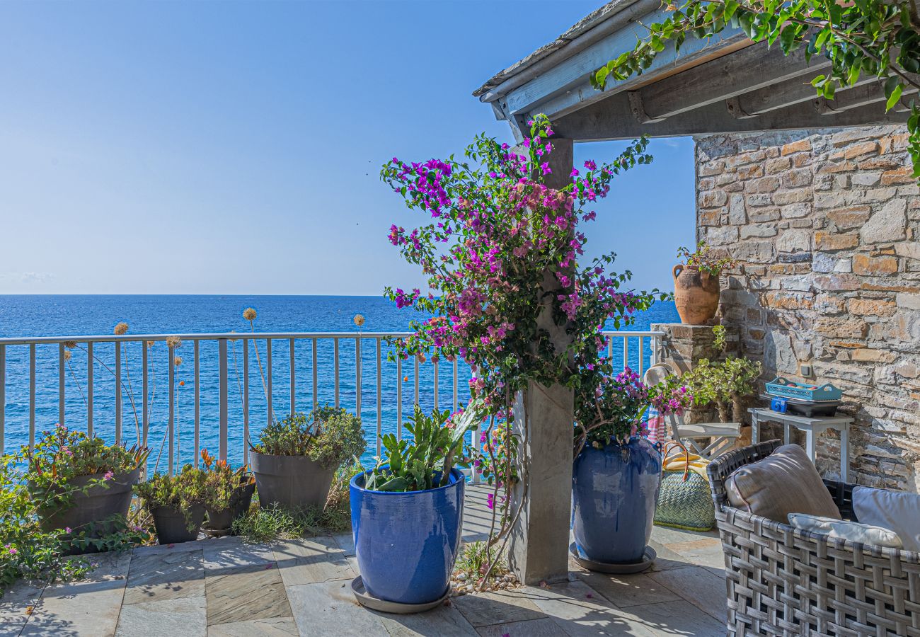 Ferienhaus in Erbalunga - Casetta Ricci - Les Azedarachs II