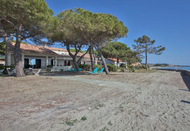 Villa in San-Nicolao - Villa Les 3 frères