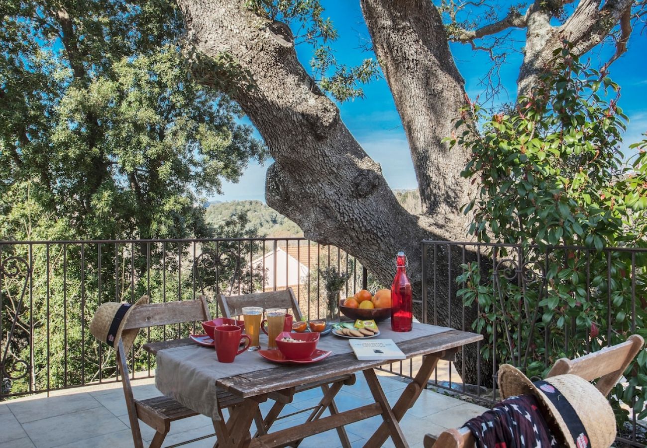 Apartment in Patrimonio - Domaine Ghjulia - Casa Castagniccia