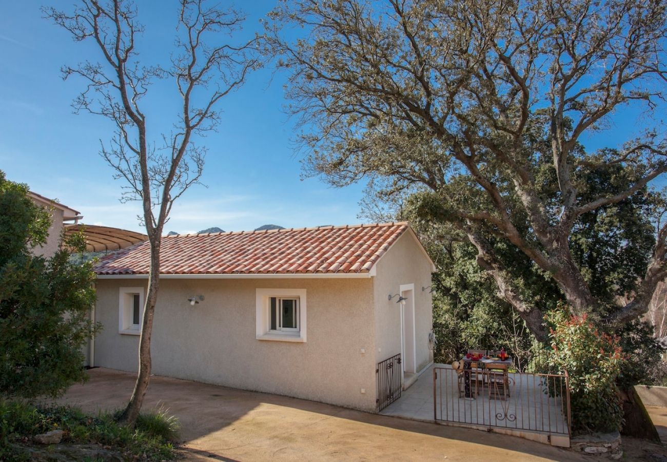 Apartment in Patrimonio - Domaine Ghjulia - Casa Castagniccia