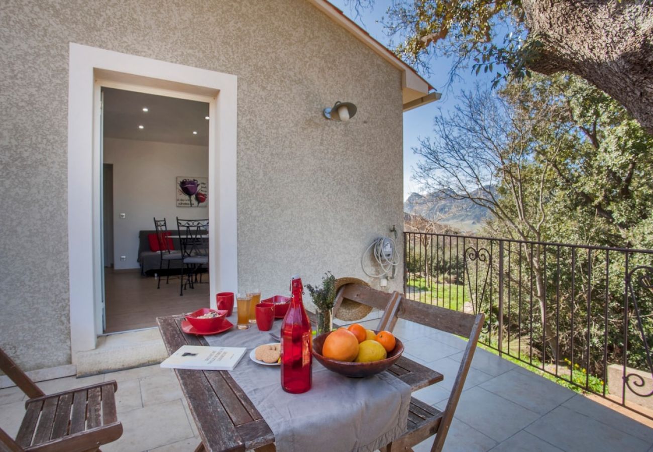 Apartment in Patrimonio - Domaine Ghjulia - Casa Castagniccia
