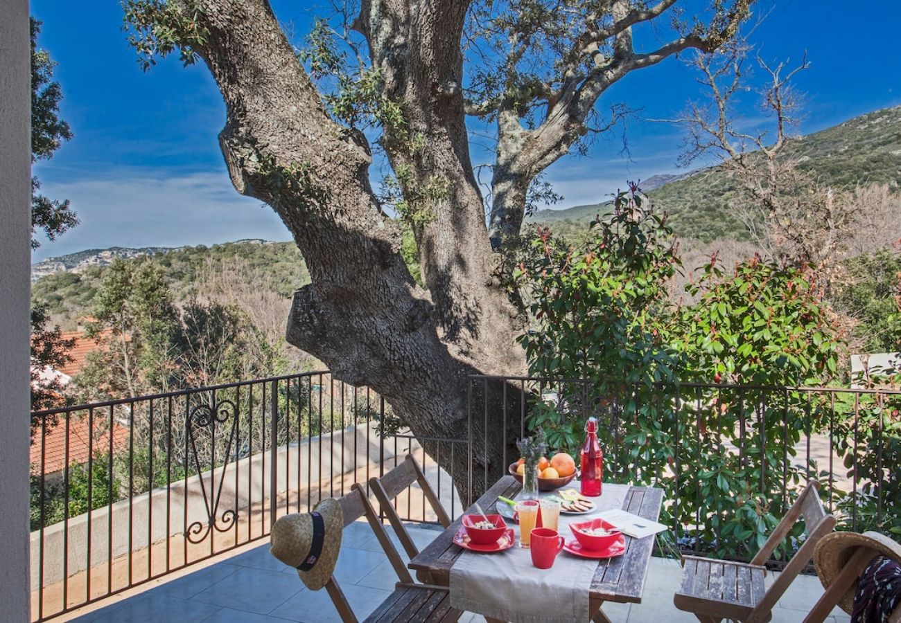 Apartment in Patrimonio - Domaine Ghjulia - Casa Castagniccia