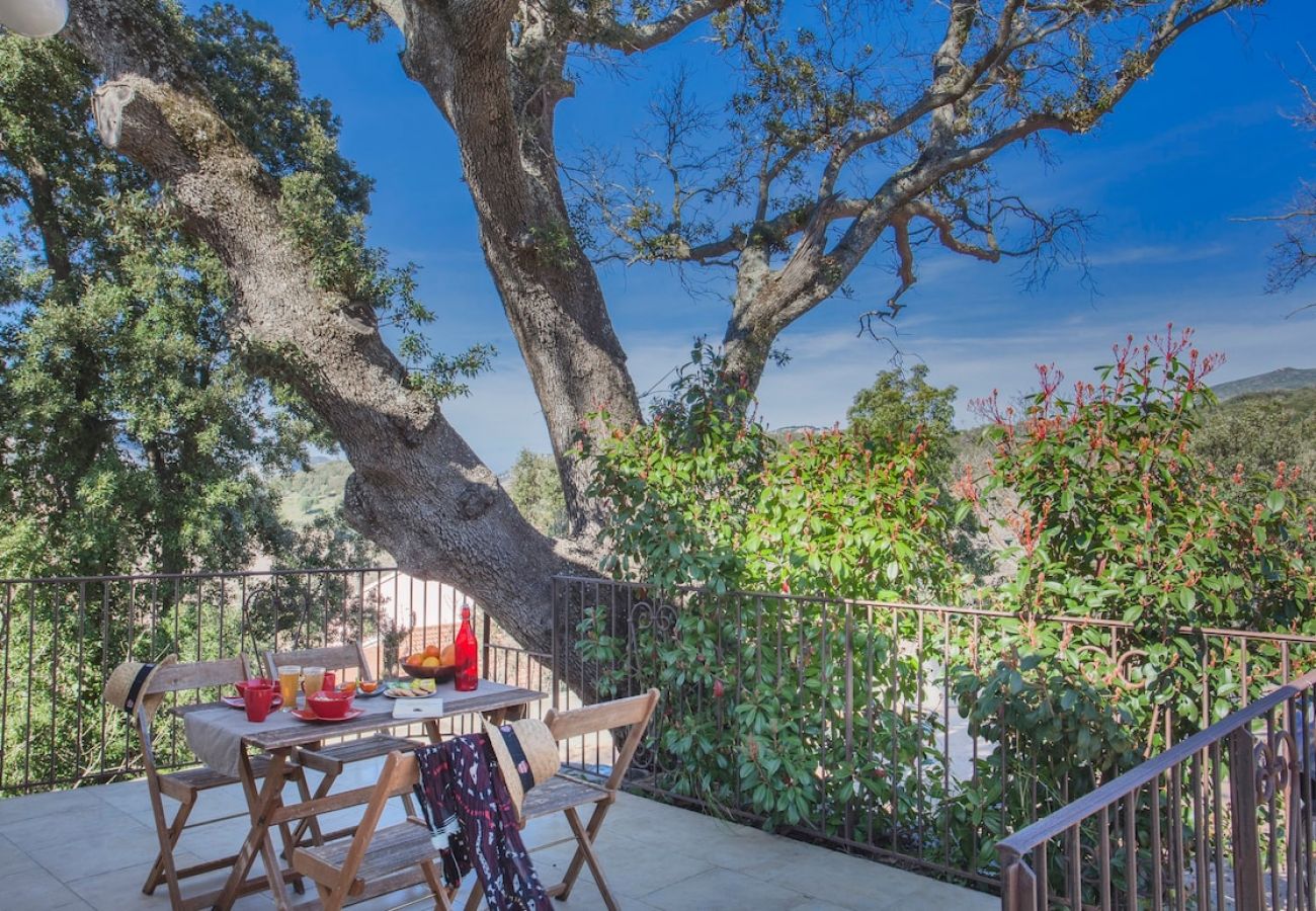 Apartment in Patrimonio - Domaine Ghjulia - Casa Castagniccia