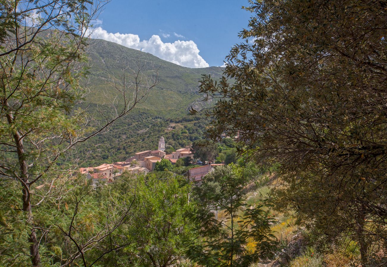 Villa in Palasca - Maison A Luna