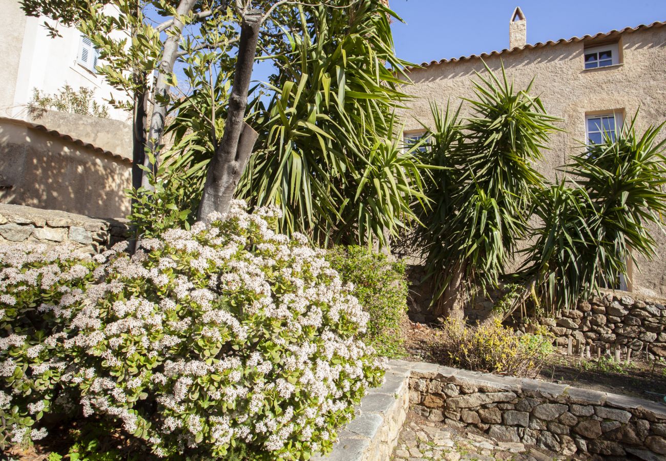 Studio in Pigna - Casa Celestina