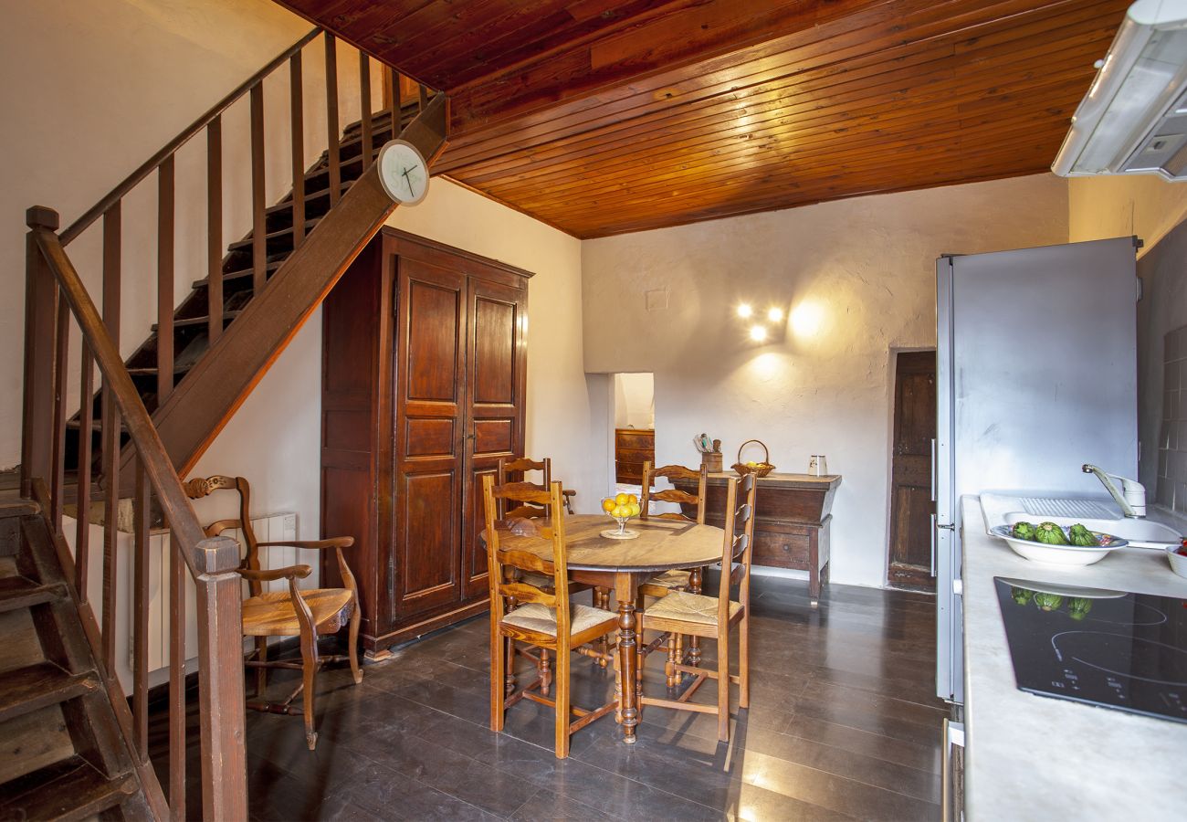 Apartment in Santo-Pietro-di-Tenda - Casuccia