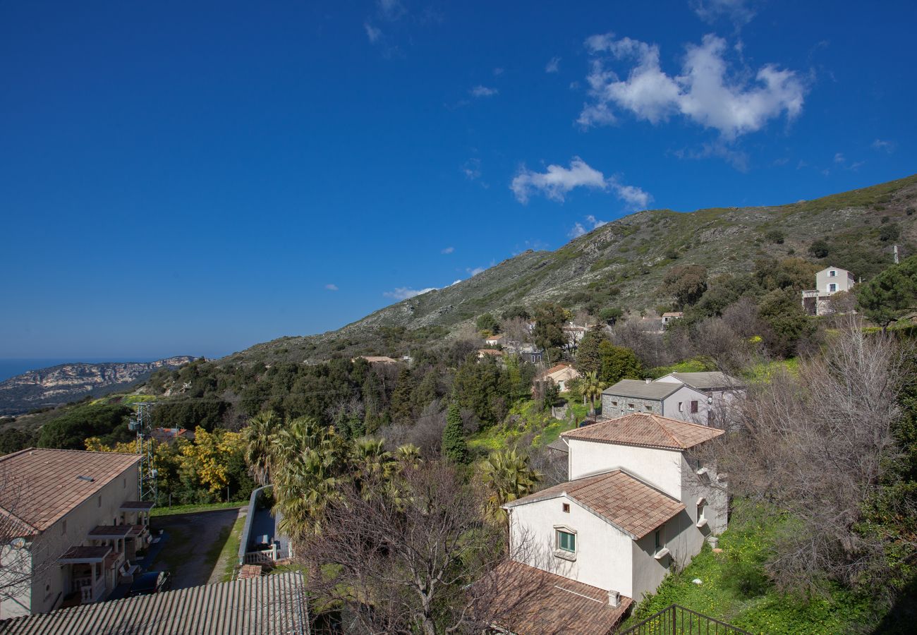 Apartment in Barbaggio - Casa Poggio