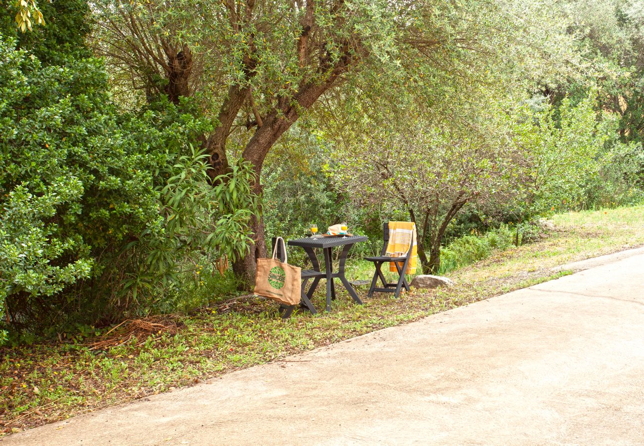 Studio in Oletta - Casa Armunia