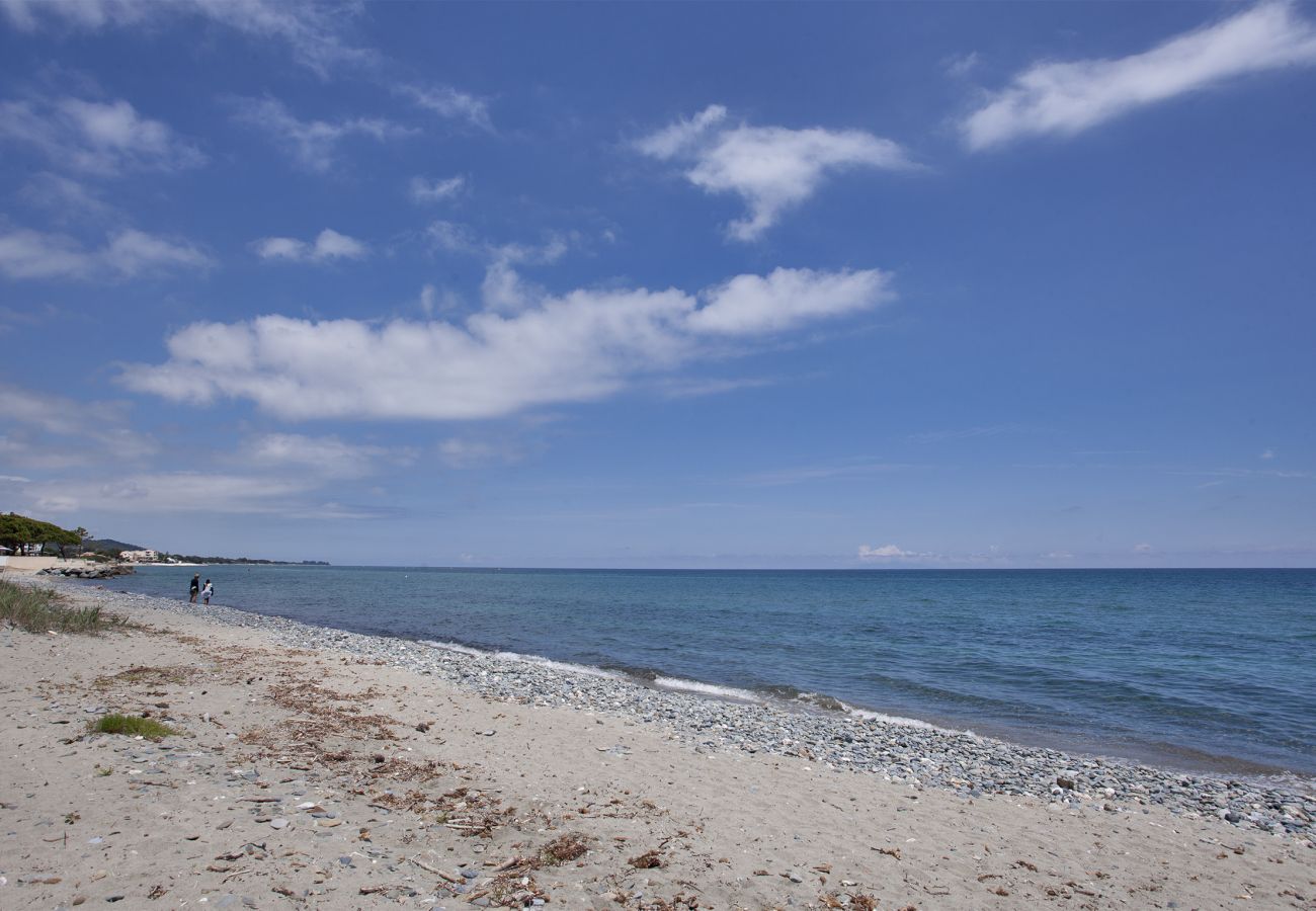 Apartment in San-Nicolao - Casa Les Marines