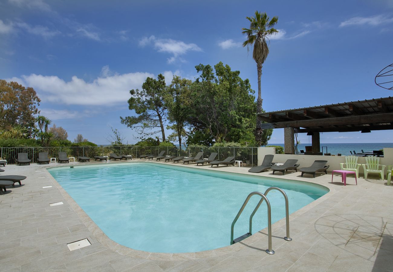 Apartment in San-Nicolao - Casa Les Marines