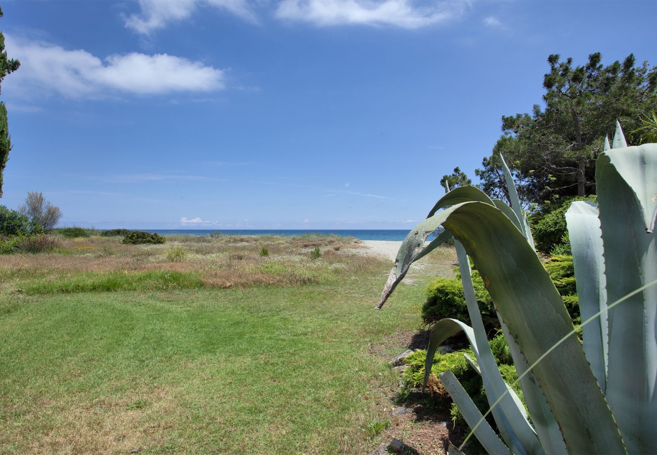 Apartment in San-Nicolao - Casa Les Marines