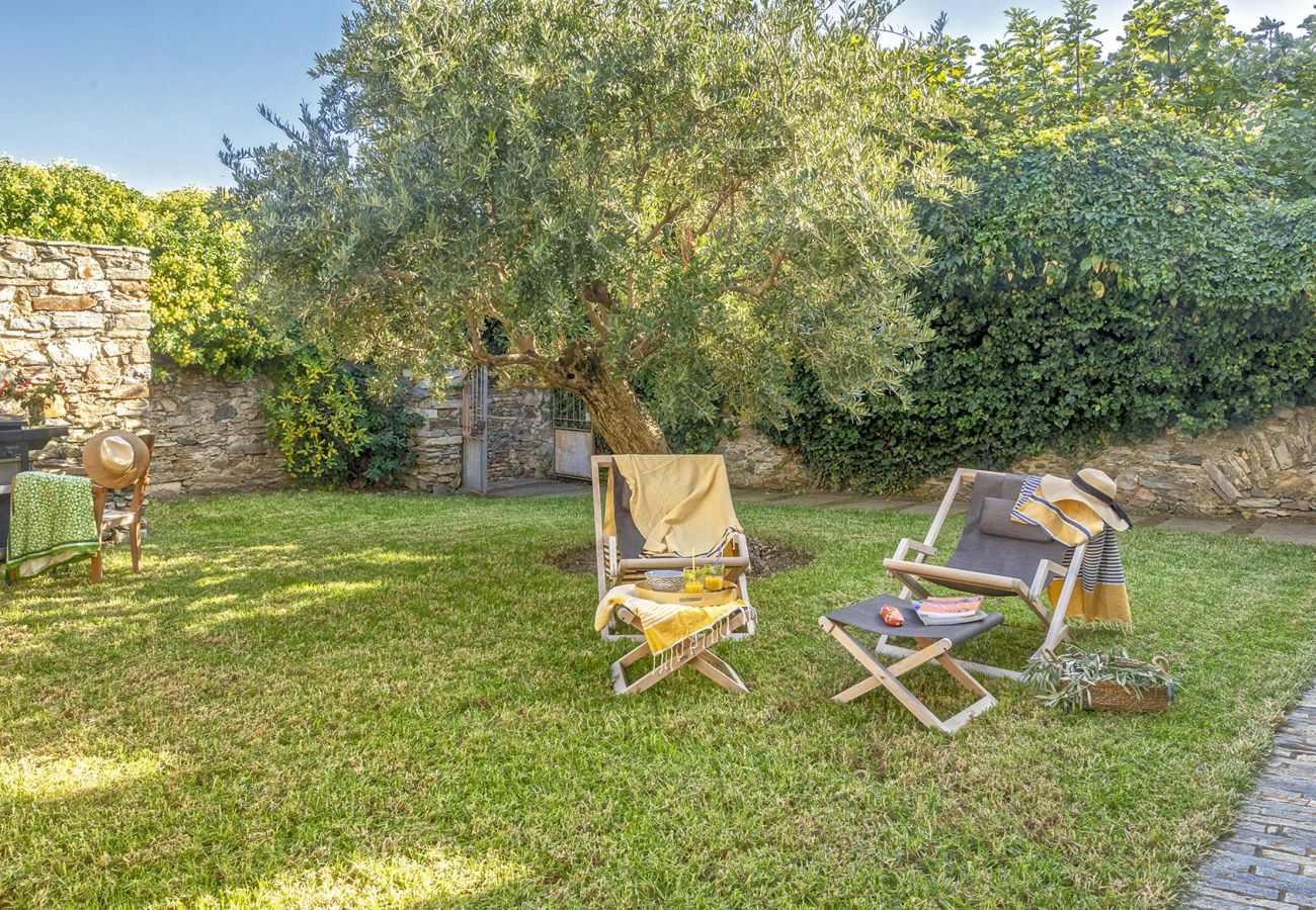 Villa in Brando - Villa la Rose des Mers
