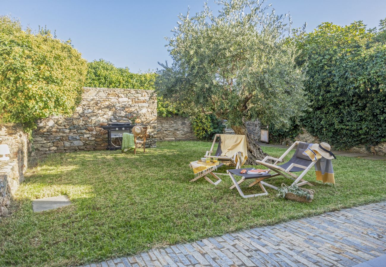 Villa in Brando - Villa la Rose des Mers