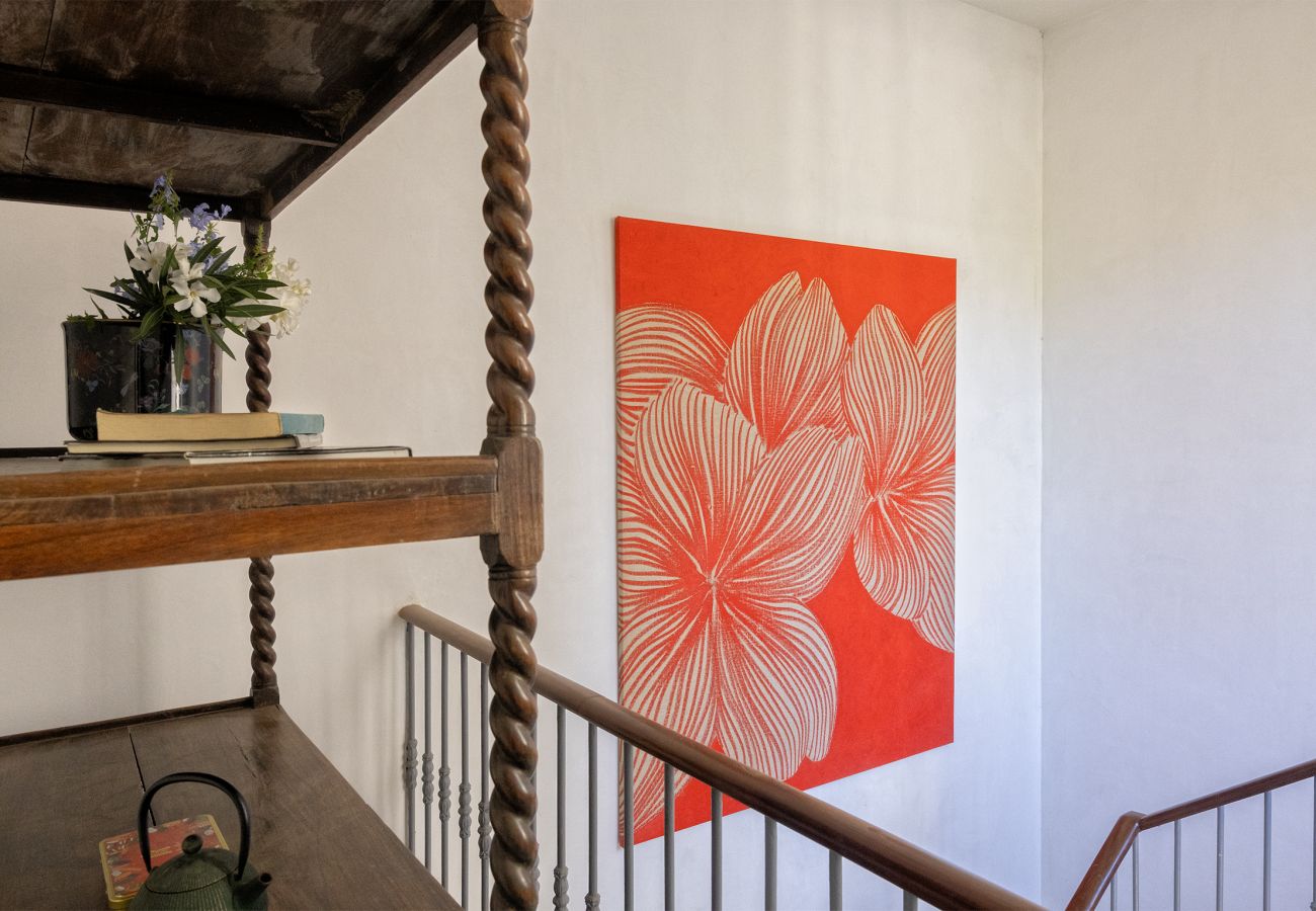 Villa in Brando - Villa les Roses