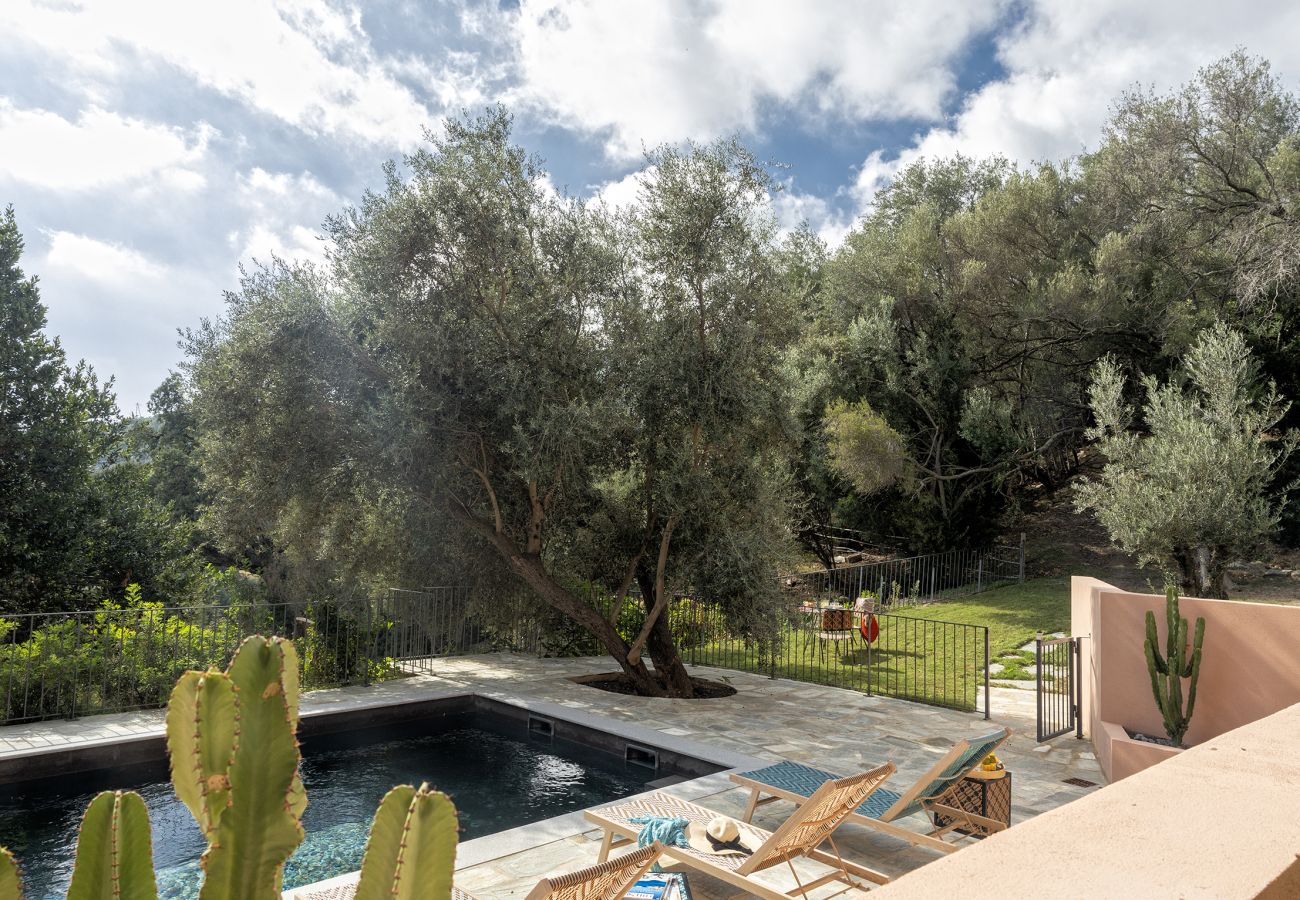 Villa in Brando - Villa Piccula