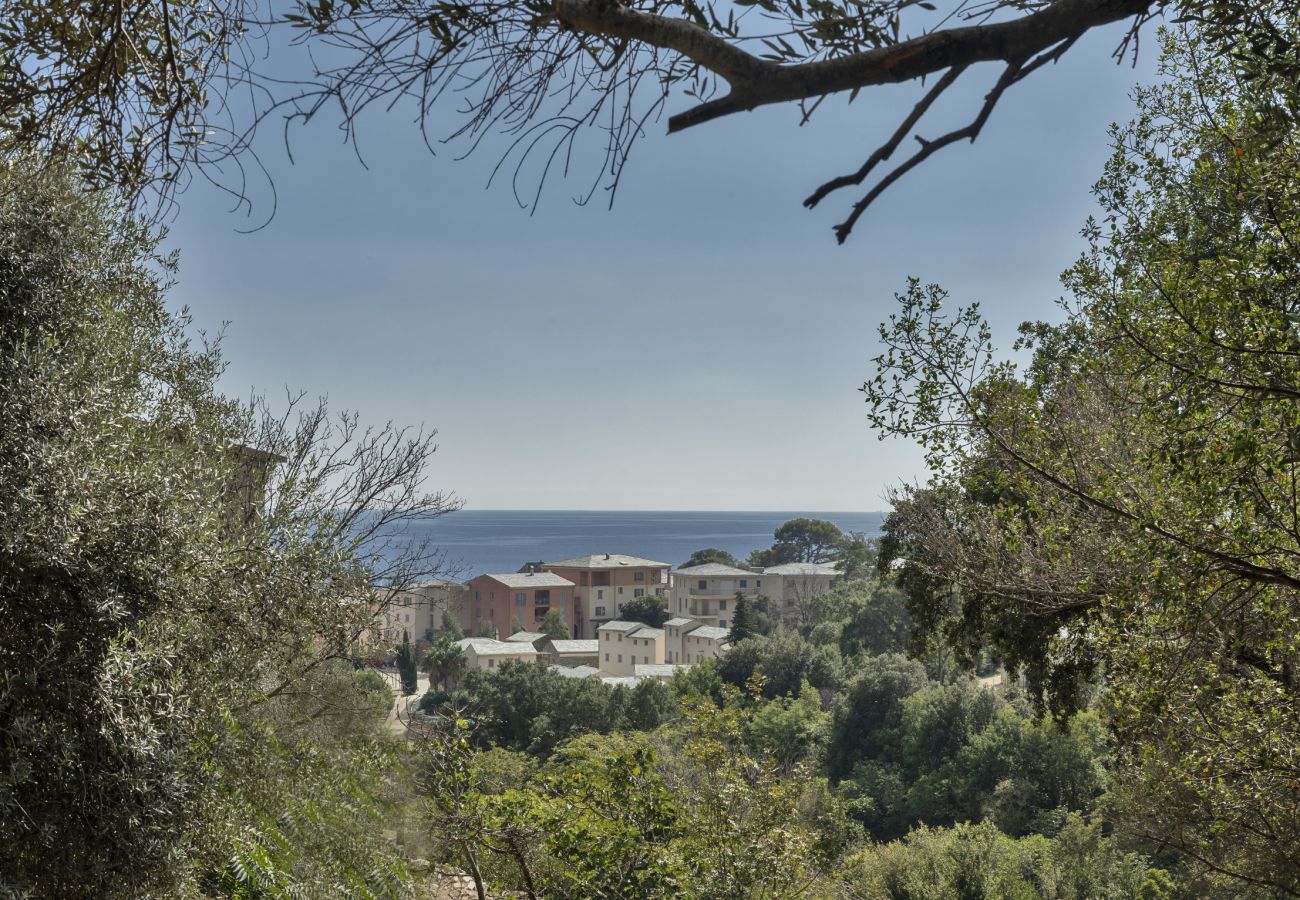 Villa in Brando - Villa Piccula