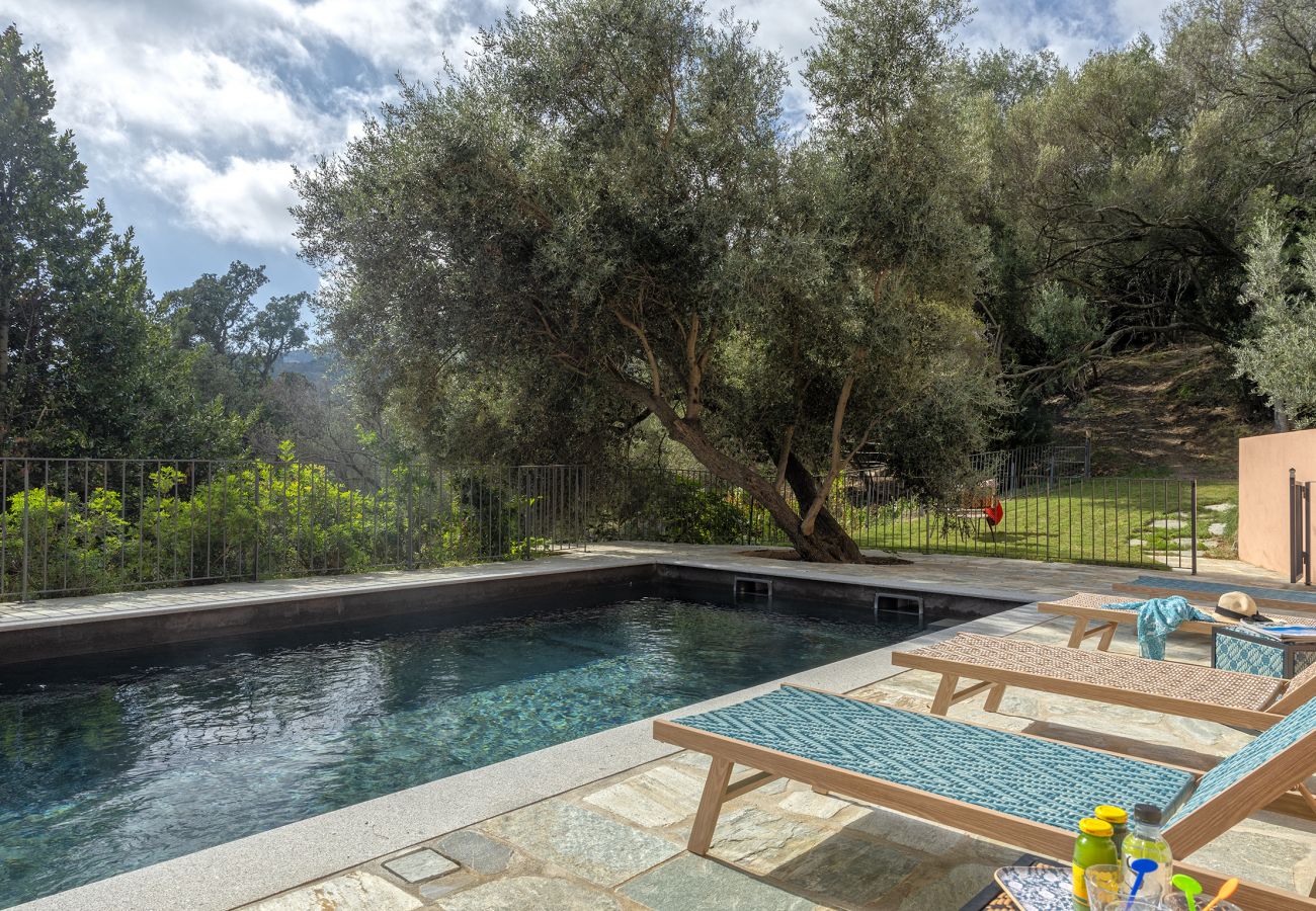 Villa in Brando - Villa Piccula