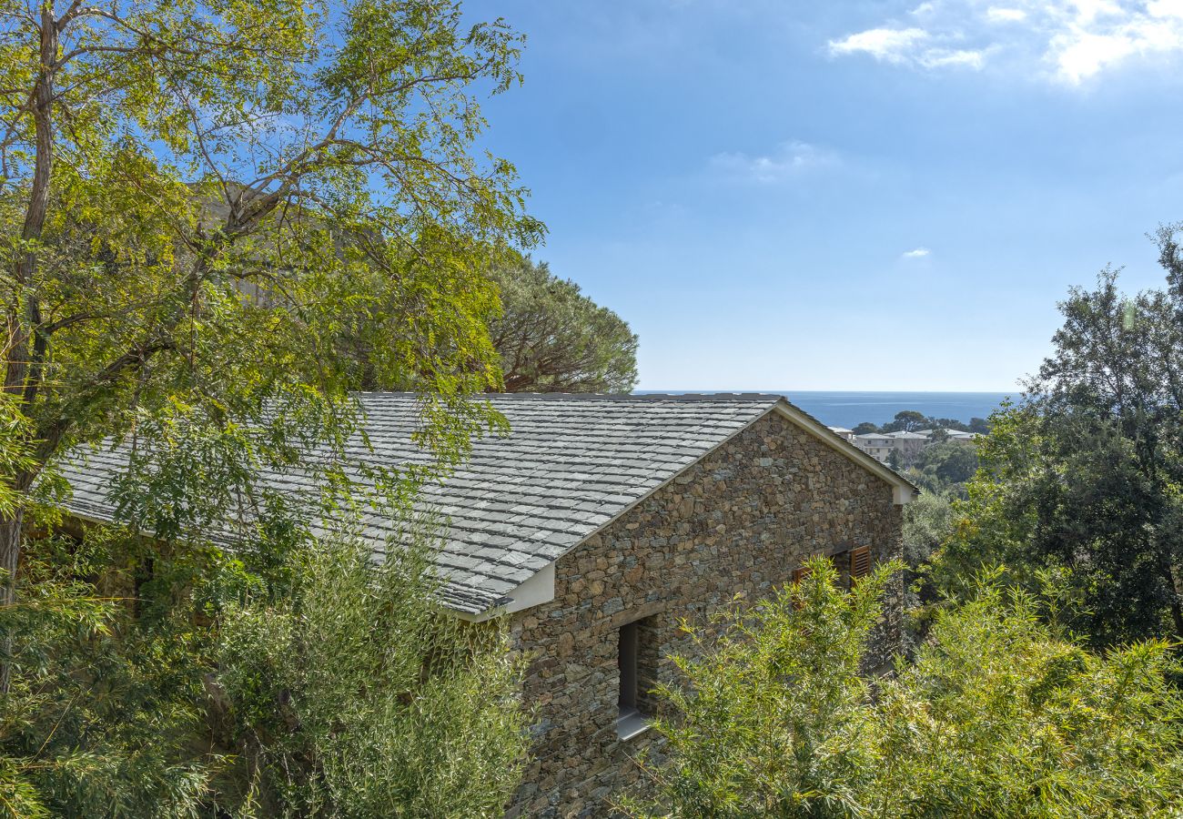 Villa in Brando - Villa Piccula