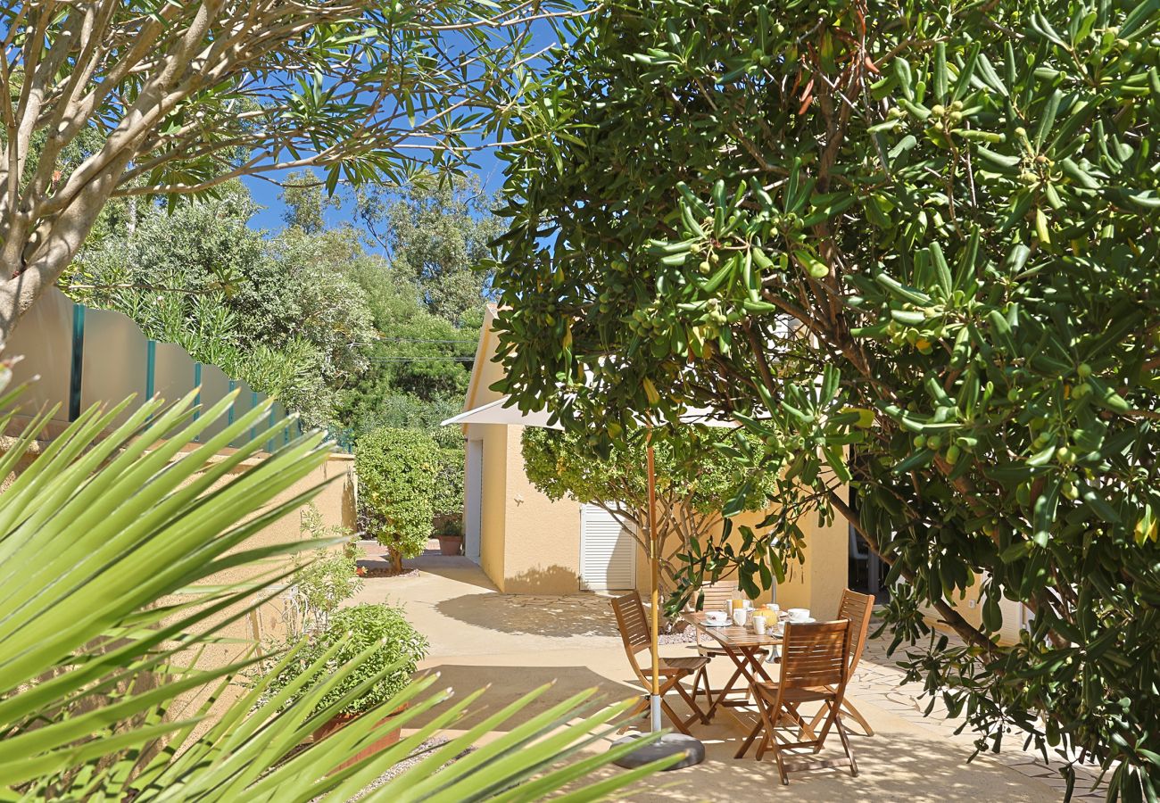 Villa in Lucciana - Villa California