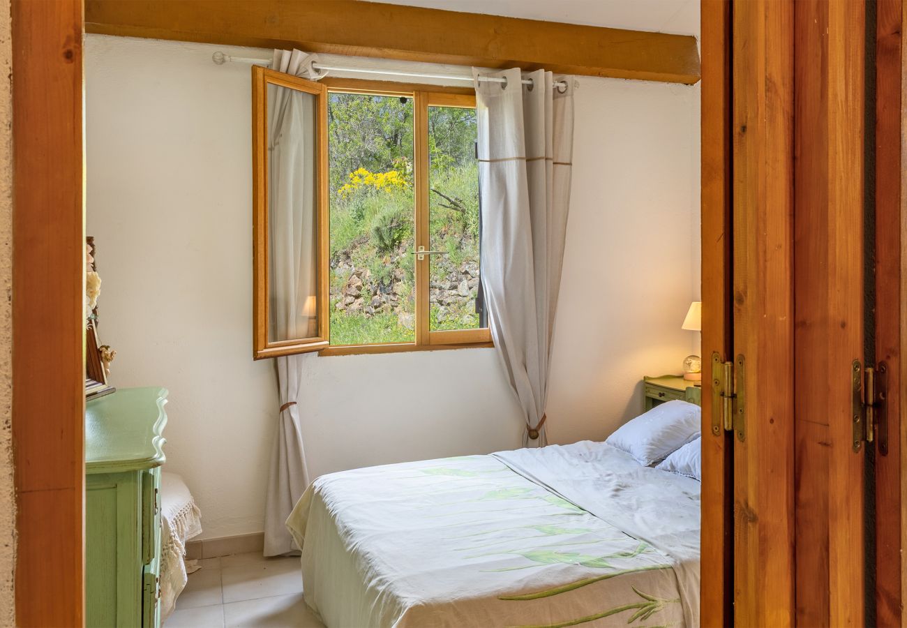 House in Olmi-Cappella - Casa Di Babbo