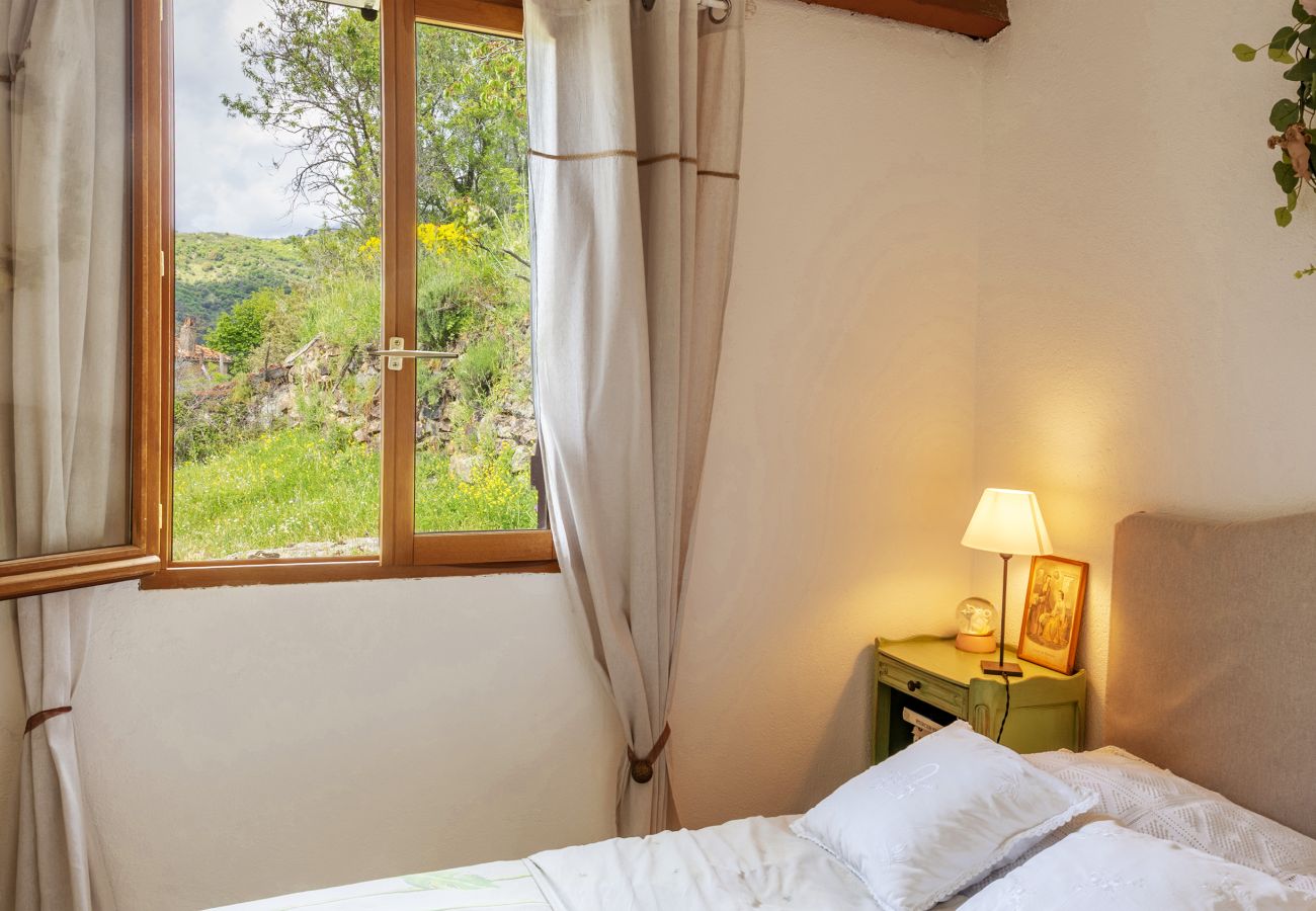 House in Olmi-Cappella - Casa Di Babbo