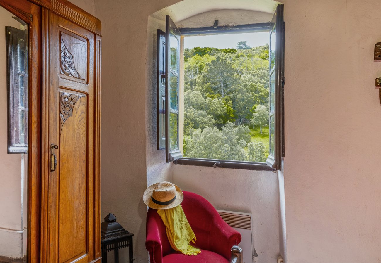 House in Olmi-Cappella - Casa Di Babbo